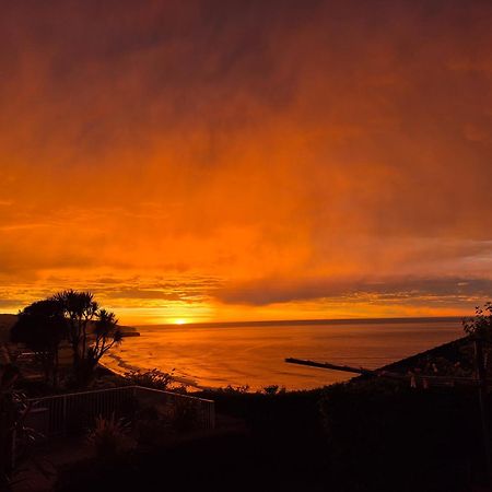 Rosemount B&B By The Sea St Clair ダニーデン エクステリア 写真
