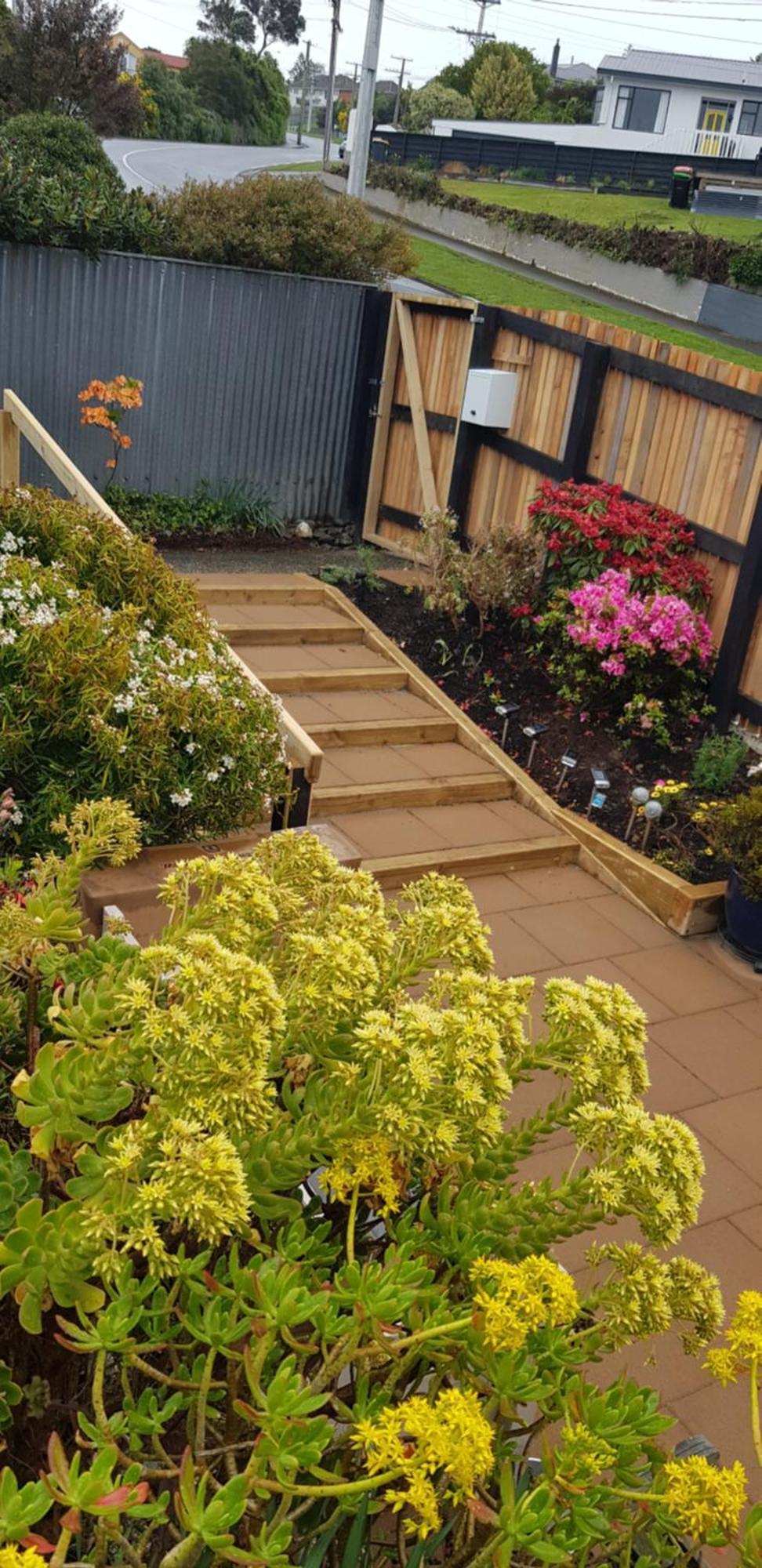 Rosemount B&B By The Sea St Clair ダニーデン エクステリア 写真