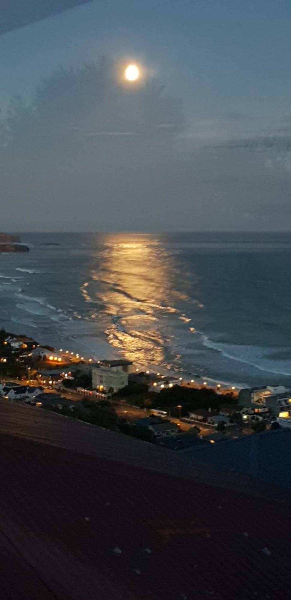 Rosemount B&B By The Sea St Clair ダニーデン エクステリア 写真