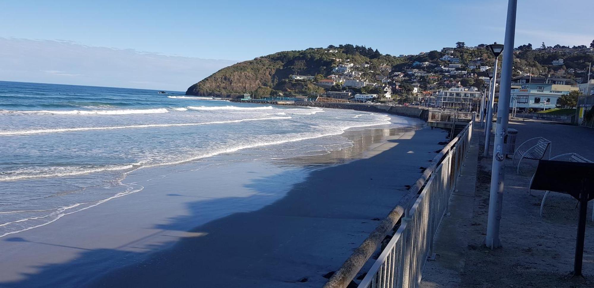 Rosemount B&B By The Sea St Clair ダニーデン エクステリア 写真